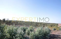 Leiria, Leiria
