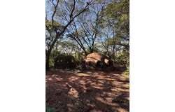 BOSQUES DE HERMANN, Areguá , Areguá, Central, Areguá, Central