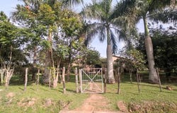 YHACA GUAZU, BORJA , Borja, Guairá, Guairá