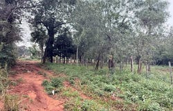 Ykua karanday , Luque, Central, Luque, Central