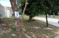 Saturio Rios C/ Luis Caminos , Mariano Roque Alonso, Central, Mariano Roque Alonso, Central 111008