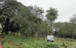 Ykua karanday , Luque, Central, Luque, Central