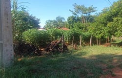 100 metros de la Ruta Areguá, terreno sobre esquina justo al costado mismo de la Gobernaci , , Areguá, Central, Areguá, Central 110120
