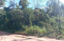 Calle 1 , Altos, Cordillera, Altos, Cordillera
