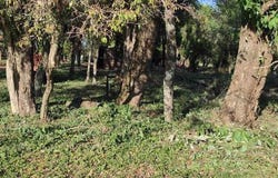 Lindante con el club de los 30 , , San Juan del Paraná, Itapúa, San Juan del Paraná, Itapúa