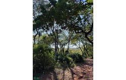 BOSQUES DE HERMANN, Areguá , Areguá, Central, Areguá, Central