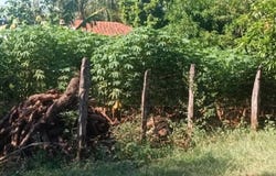 100 metros de la Ruta Areguá, terreno sobre esquina justo al costado mismo de la Gobernaci , , Areguá, Central, Areguá, Central 110120