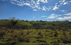 FRACCION SANTA LUCIA , Itacurubí de la Cordillera, Cordillera, Itacurubí de la Cordillera, Cordillera