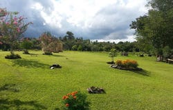 Calle 20 Acaray 0, Minga Guazu, Alto Paraná, Minga Guazu, Alto Paraná