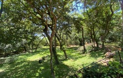 Calle Sin Nombre, Estanzuela, a cuadras de Ruta Aregua - Patiño s/n, , Areguá, Central, Aregua, Central