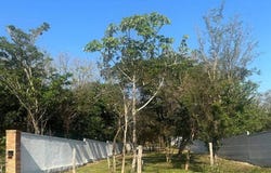 Barrio Cristobal Colon s/n, San Bernardino, Cordillera, San Bernardino, Cordillera