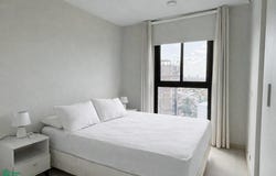 Torreani Viera y Toribio Pacheco s/n, , Recoleta, Asunción,, 
