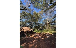 BOSQUES DE HERMANN, Areguá , Areguá, Central, Areguá, Central