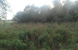 maria de jesus , Pirayu, Paraguarí, Paraguarí