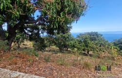Saint-Leu, Reunion 97436