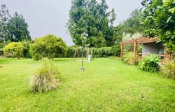 La Plaine-des-Palmistes, Réunion