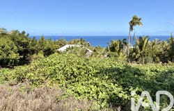 Petite-Île, Saint-Pierre 97429