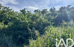 Piton St Leu, Saint-Paul 97424