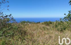 Saint-Joseph, Saint-Pierre 97480
