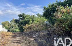 Piton St Leu, Saint-Paul 97424
