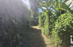 Saint-Pierre, Saint-Pierre 97432