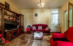 Arad, Arad County