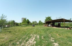 Arad, Arad, Arad County