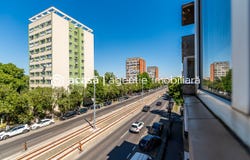 Arad, Arad County