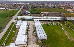 Pecica, Arad County