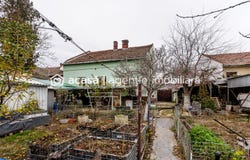Arad, Arad County