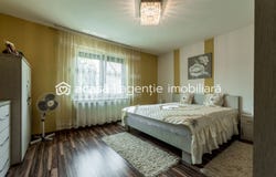 Arad, Arad County