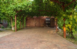 59 KOGALNICEANU MIHAIL, Fundulea, Bucharest 915200