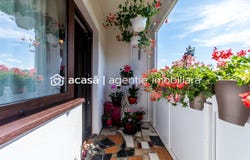 Arad, Arad County