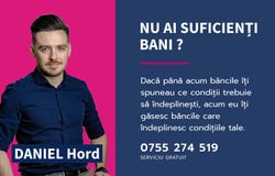 Arad, Arad County
