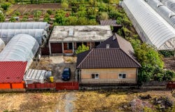 Seleus, Arad County