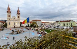 Arad, Arad County