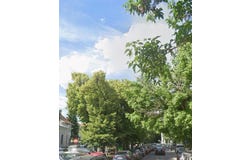 Bucharest, Bucharest 010051