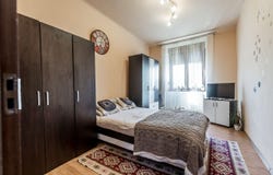 Arad, Arad County