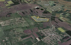 Macea, Arad County