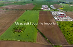 Arad, Arad County