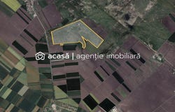 Macea, Arad County