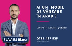 Arad, Arad County
