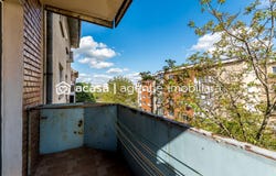 Arad, Arad County