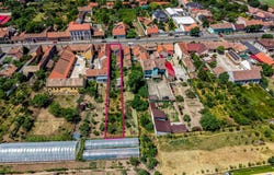 Arad, Arad County