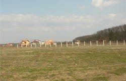 Bucharest, Bucharest 010051