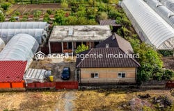 Seleus, Arad County