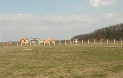 Drumul Piscul Nou, Bucuresti, Bucharest