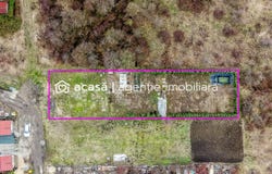 Arad, Arad County