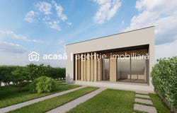 Arad, Arad County