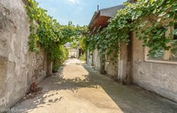 40 BALOMIR, Bucuresti, Bucharest 050335